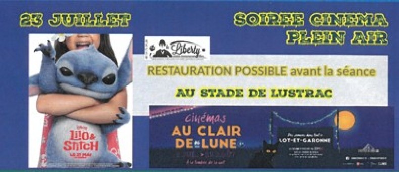 CINEMA EN PLEIN AIR